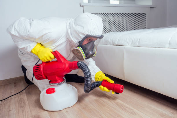 Professional Pest Control in Des Peres, MO